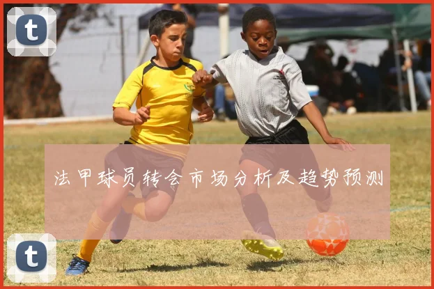 法甲球员转会市场分析及趋势预测