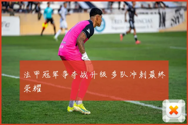 法甲冠军争夺战升级 多队冲刺最终荣耀