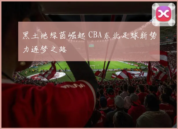 黑土地绿茵崛起 CBA东北足球新势力逐梦之路