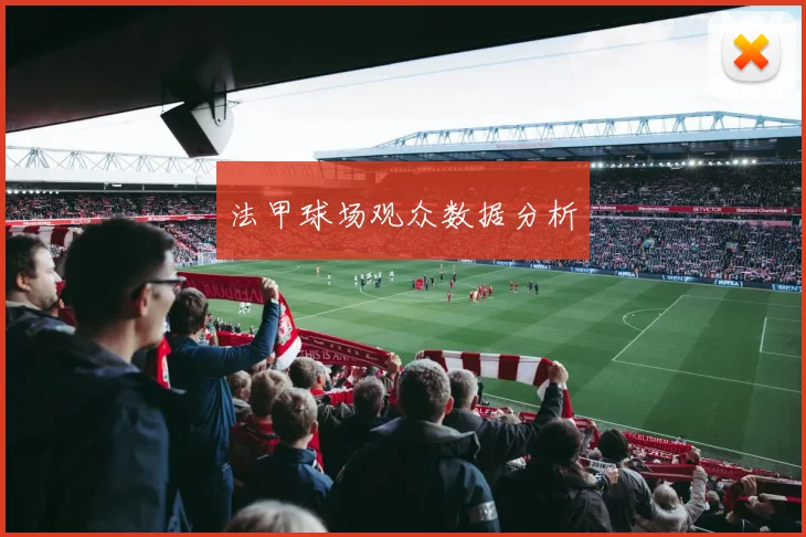 法甲球场观众数据分析