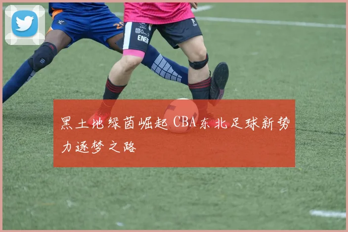 黑土地绿茵崛起 CBA东北足球新势力逐梦之路