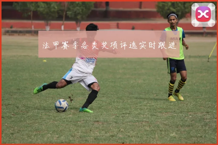 法甲赛季各类奖项评选实时跟进