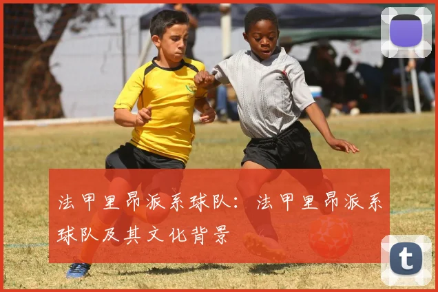 法甲里昂派系球队：法甲里昂派系球队及其文化背景