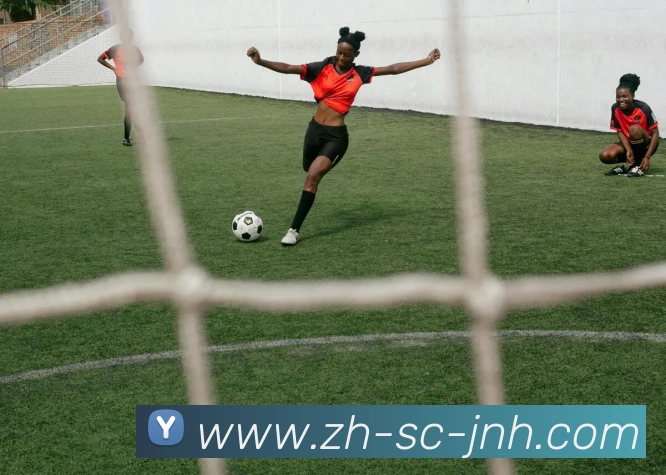 金年会体育平台生态图